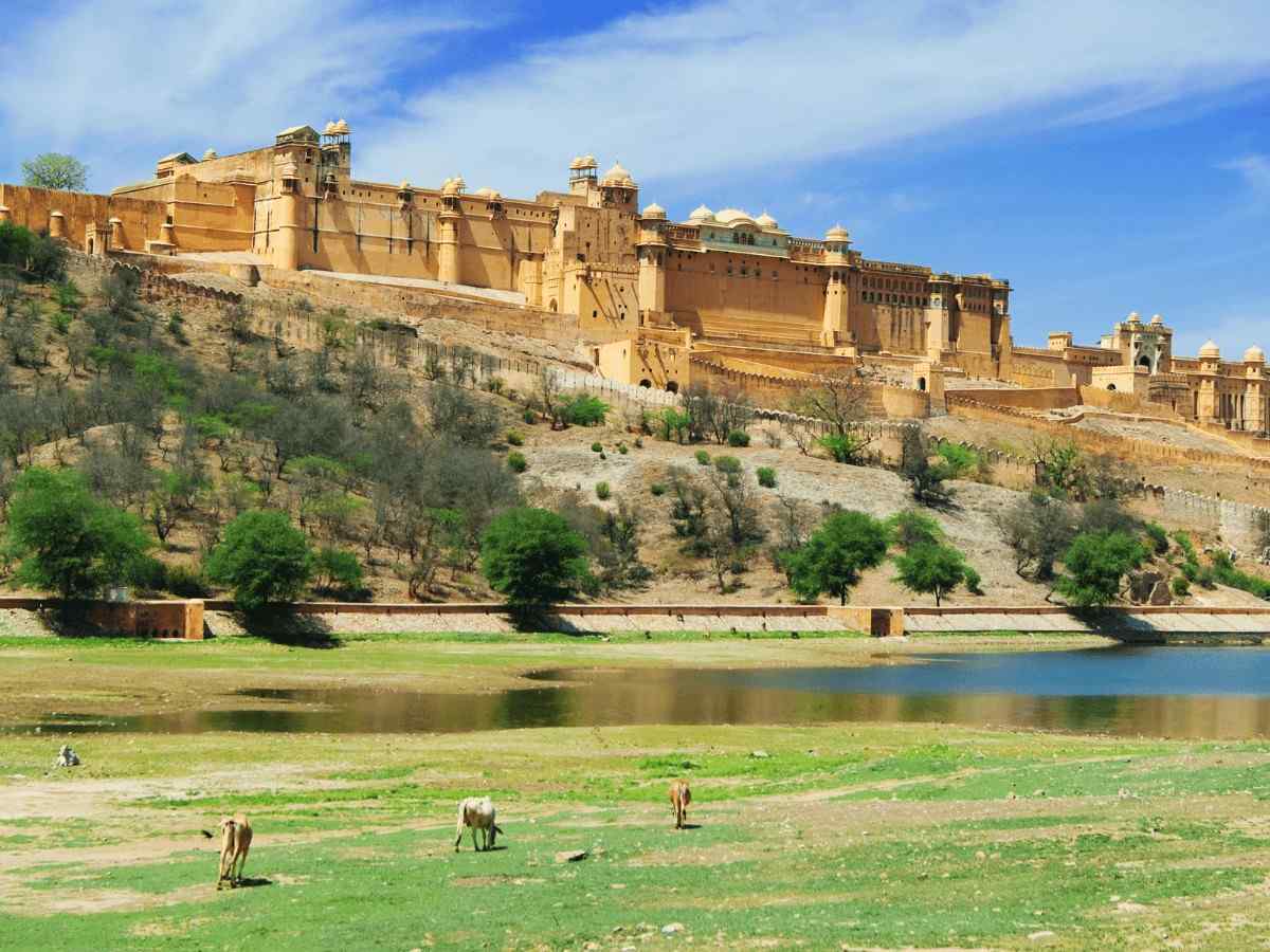 Golden Triangle Tour Packages for 4 Nights 5 Days